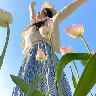三角窗外是黑夜动画版